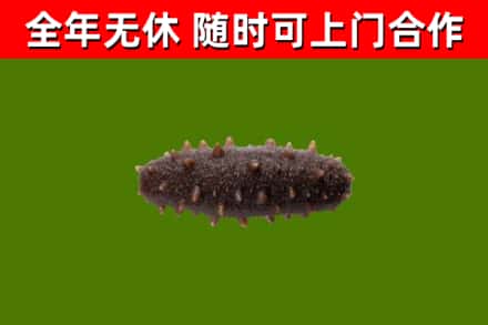 景德镇烟酒回收干海参.jpg